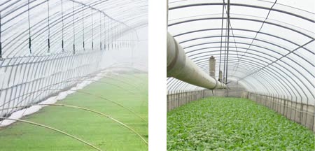 溫室大棚保溫發熱電纜使用效果
