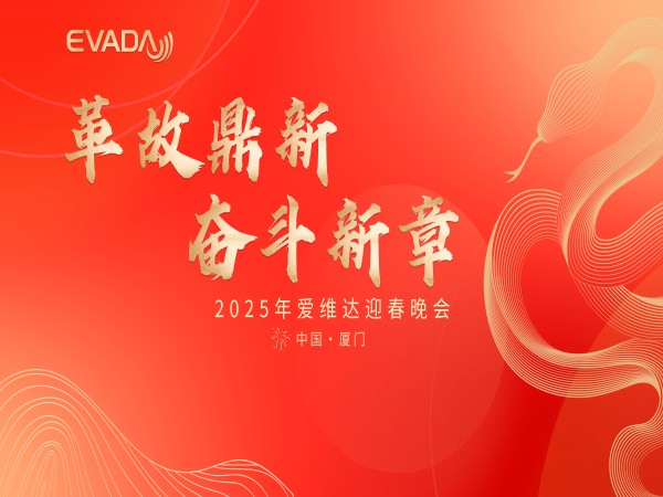 愛維達 2025 開春專項培訓收官，迎春晚會燃情謝幕！